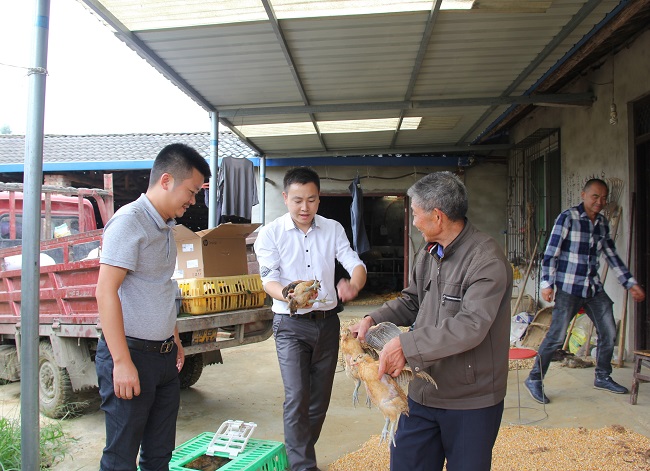 IMG_8175.JPG IMG_8175.JPG