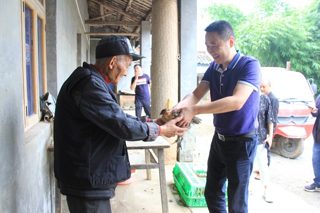 IMG_8197.JPG IMG_8197.JPG